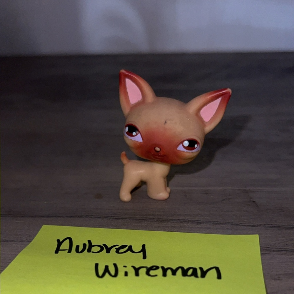 Littlest Pet shop Authentic #001 Chihuahua